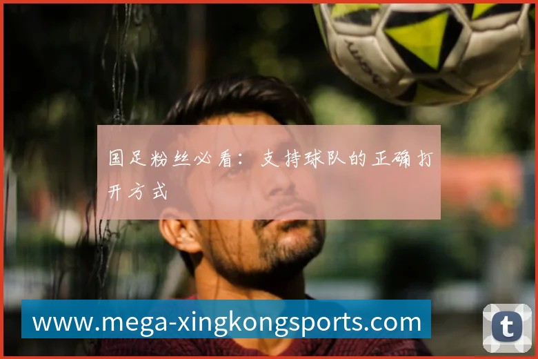 国足粉丝必看：支持球队的正确打开方式
